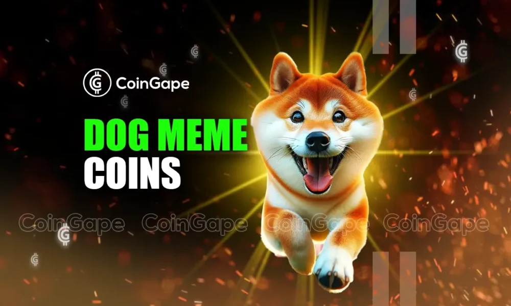 Ditch The Overhyped Dog Meme Coins and Buy These Cryptos for High Gains Today