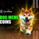 Ditch The Overhyped Dog Meme Coins and Buy These Cryptos for High Gains Today