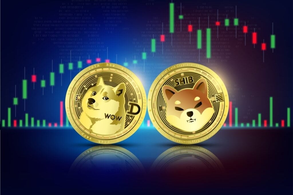 Dogecoin, Shiba Inu and Floki are 'Dino Coins,' Trader Says: He Likes These Other 3 Coins as 'Blue Tokens'