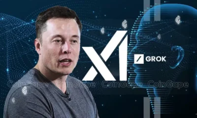 Elon Musk's Shout Out to Solana Meme Coin Dogwifhat Sparks WIF Price Rally