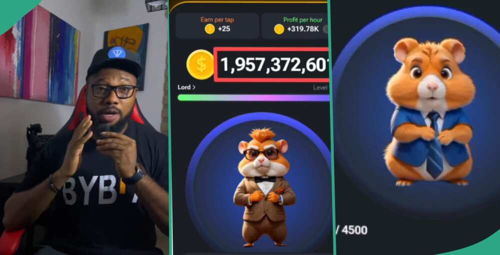 Cryptocurrency experts explain how Nigerians can play it safe on Hamster Kombat