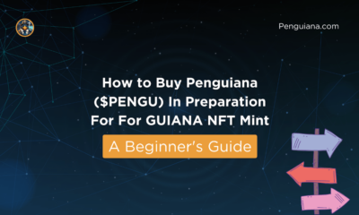 How to buy Penguiana ($PENGU) in preparation for the GUYANA NFT Mint - a beginner's guide