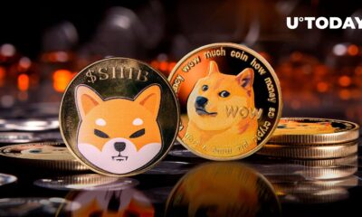 It's finish?  Coins like Shiba Inu (SHIB) and DOGE Eye Dramatic Dominance Drop