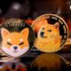 It's finish?  Coins like Shiba Inu (SHIB) and DOGE Eye Dramatic Dominance Drop