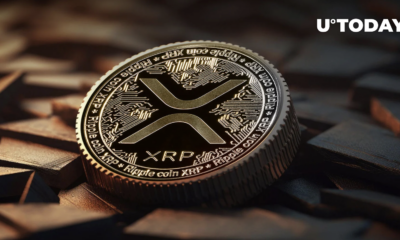 Looking for the next XRP?  Be careful of Meme Coins, says top analyst