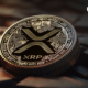 Looking for the next XRP?  Be careful of Meme Coins, says top analyst