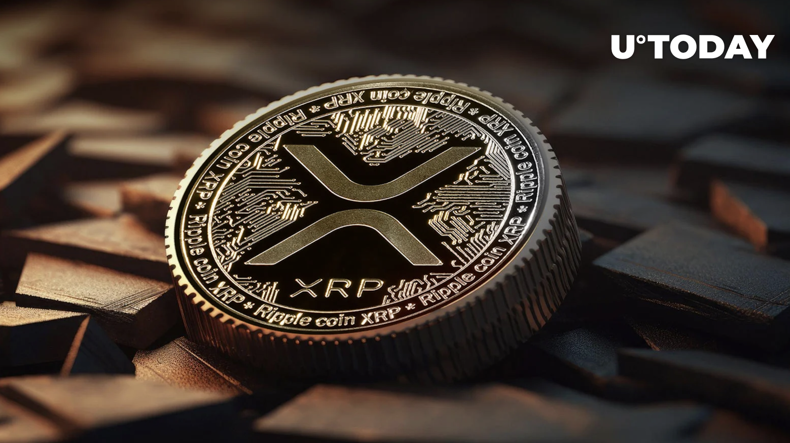 Looking for the next XRP?  Be careful of Meme Coins, says top analyst