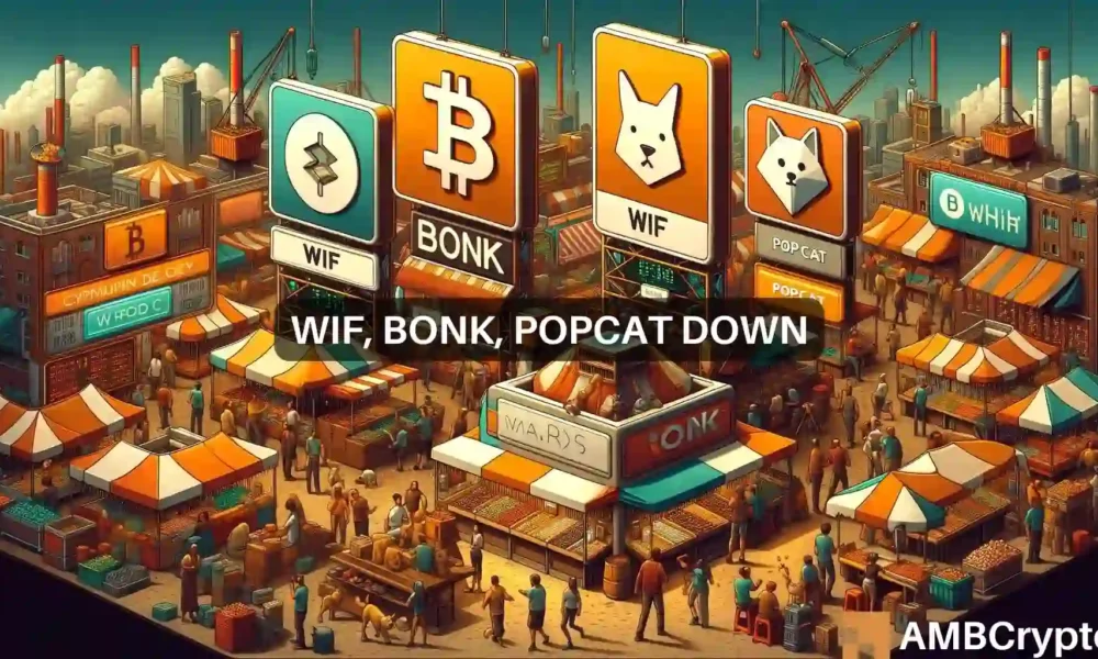 Memecoin chaos?  Solana's WIF, BONK and POPCAT see sharp declines