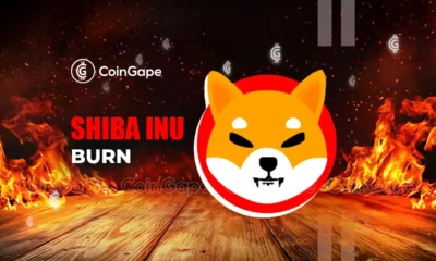 Shiba Inu Coin Burn Rate Soars 3010% With 232M SHIB Burned