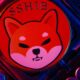 Shiba Inu, Dogwifhat Defy Market Drops, Altcoins Prepare for Major Rally and More: This Week in Cryptocurrency