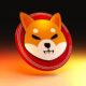 Shiba Inu Lead Developer Shytoshi Kusama Sparks Excitement With Cryptic Middle East Post, Memecoin Rebounds 8%