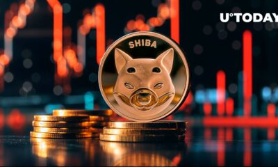 Shiba Inu (SHIB) Slumps 10% as Meme Coins Plunge