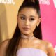 Solana Meme Coin Michi Pumps After Ariana Grande Shares Cat Photo