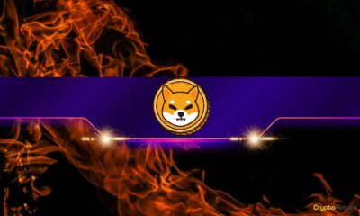 This is the number of Shiba Inu (SHIB) tokens burned last month