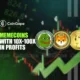 Top Performing Memecoins with 10x-100x in Profits