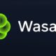 Wasabi Secures $3 Million to Enable Leveraged Trading of Memecoins and NFTs