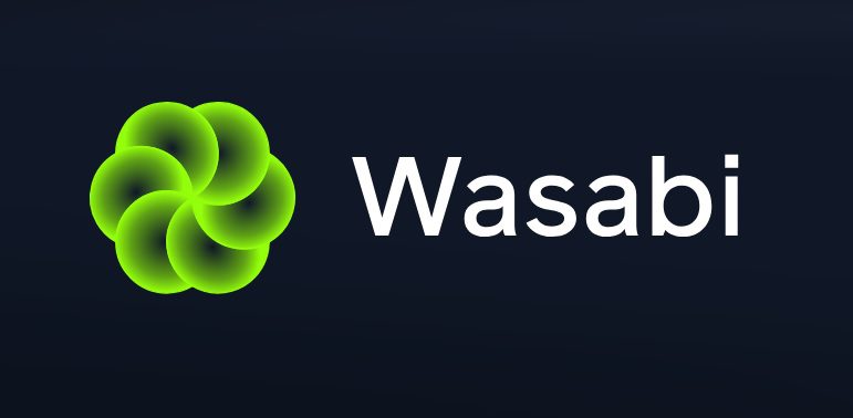 Wasabi Secures $3 Million to Enable Leveraged Trading of Memecoins and NFTs