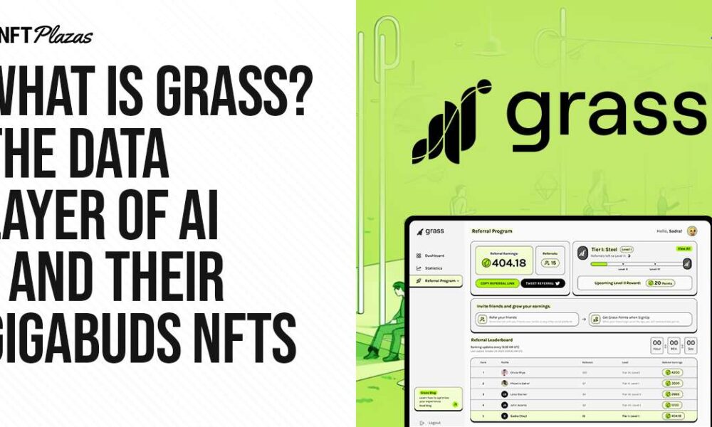 What is grass AI?  The data layer of AI