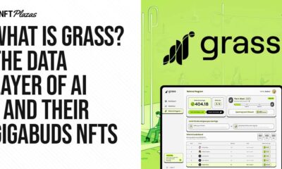 What is grass AI?  The data layer of AI