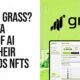 What is grass AI?  The data layer of AI