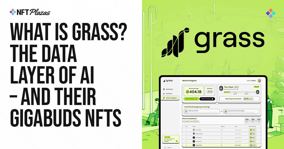 What is grass AI?  The data layer of AI