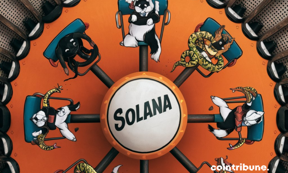 Solana Sets New Records With Its Memecoins