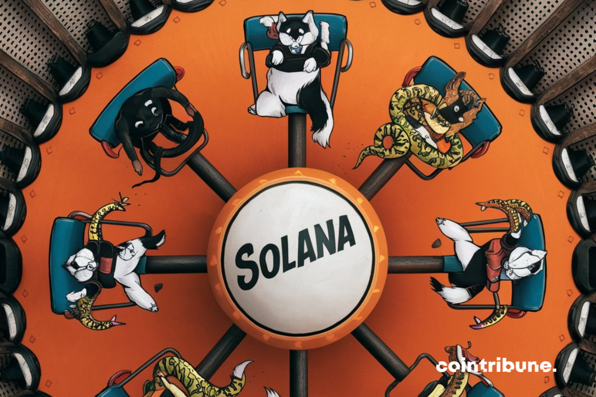 Solana Sets New Records With Its Memecoins