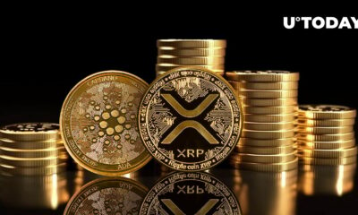 Former Goldman Sachs Analyst Calls XRP and ADA “Cult Coins”