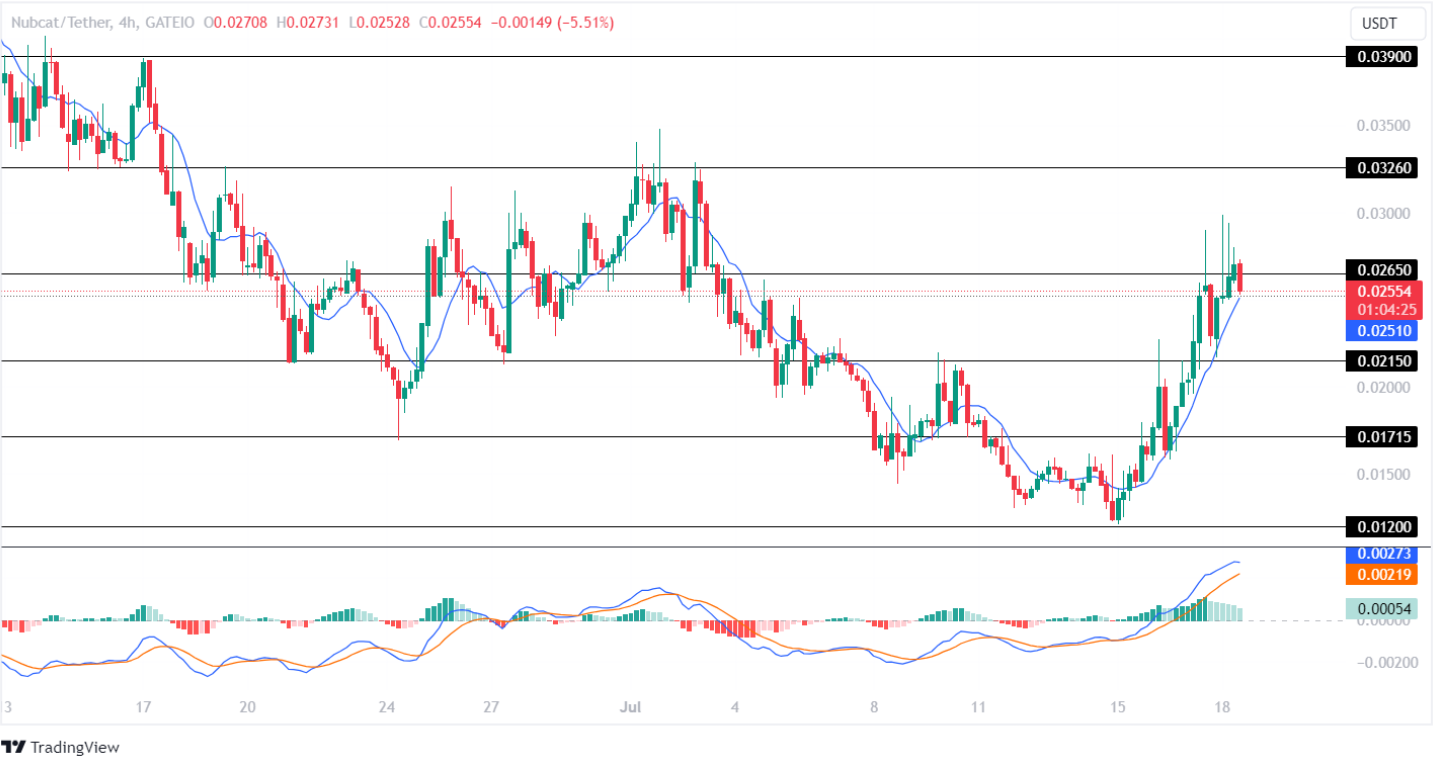 Nubcat Price Analysis