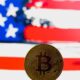 Bitcoin Skyrockets on Trump's Election Chances, Along with MAGA-Themed Tokens and NFTs