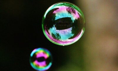 Bitcoin and Altcoins: Are There Two Crypto Bubbles?