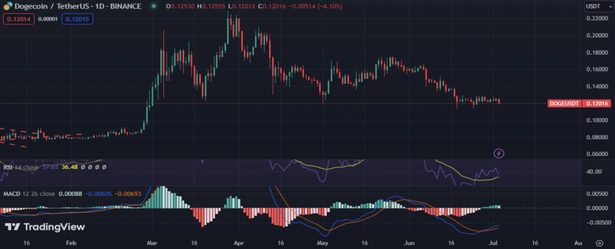 Dogecoin Loses Ground: Can the Original Meme Coin Bounce Back?