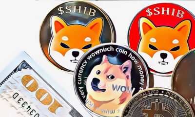 Cat Meme Coins Poised to Overtake Dog Coins in 2024 as $MOG Leads Rally