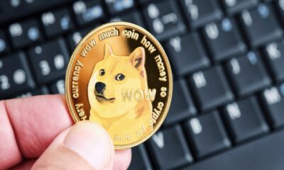 Dogecoin Whale Captures 90 Million Tokens During Market Crash: What Does the Future Hold for DOGE?