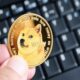 Dogecoin Whale Captures 90 Million Tokens During Market Crash: What Does the Future Hold for DOGE?