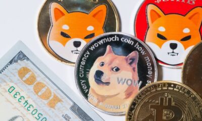 Dogecoin and Shiba Inu Whales Withdraw Millions from Robinhood