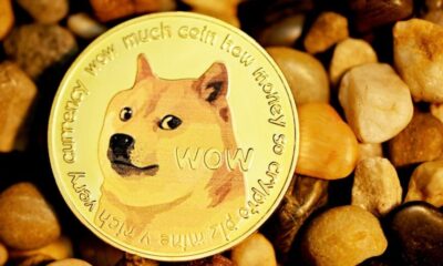 Dogecoin and Shiba Inu's 15% Drop in Seven Days Sends Meme Coins' Valuation Down 10%: 'Double Down'