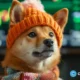 Dogwifhat (WIF) leads meme coin rally with 19% surge