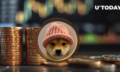 Dogwifhat (WIF) Leaves Other Meme Coins in Dust with Massive Price Surge