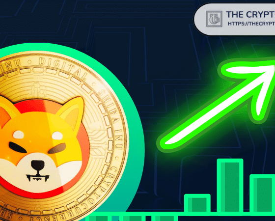 Expert Highlights Shiba Inu and 9 Altcoins Poised for a 100x Increase