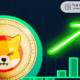 Expert Highlights Shiba Inu and 9 Altcoins Poised for a 100x Increase