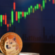 Meme Coin Trends to Watch in 2024