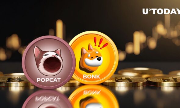 Meme coins POPCAT and BONK on fire with double-digit gains overnight