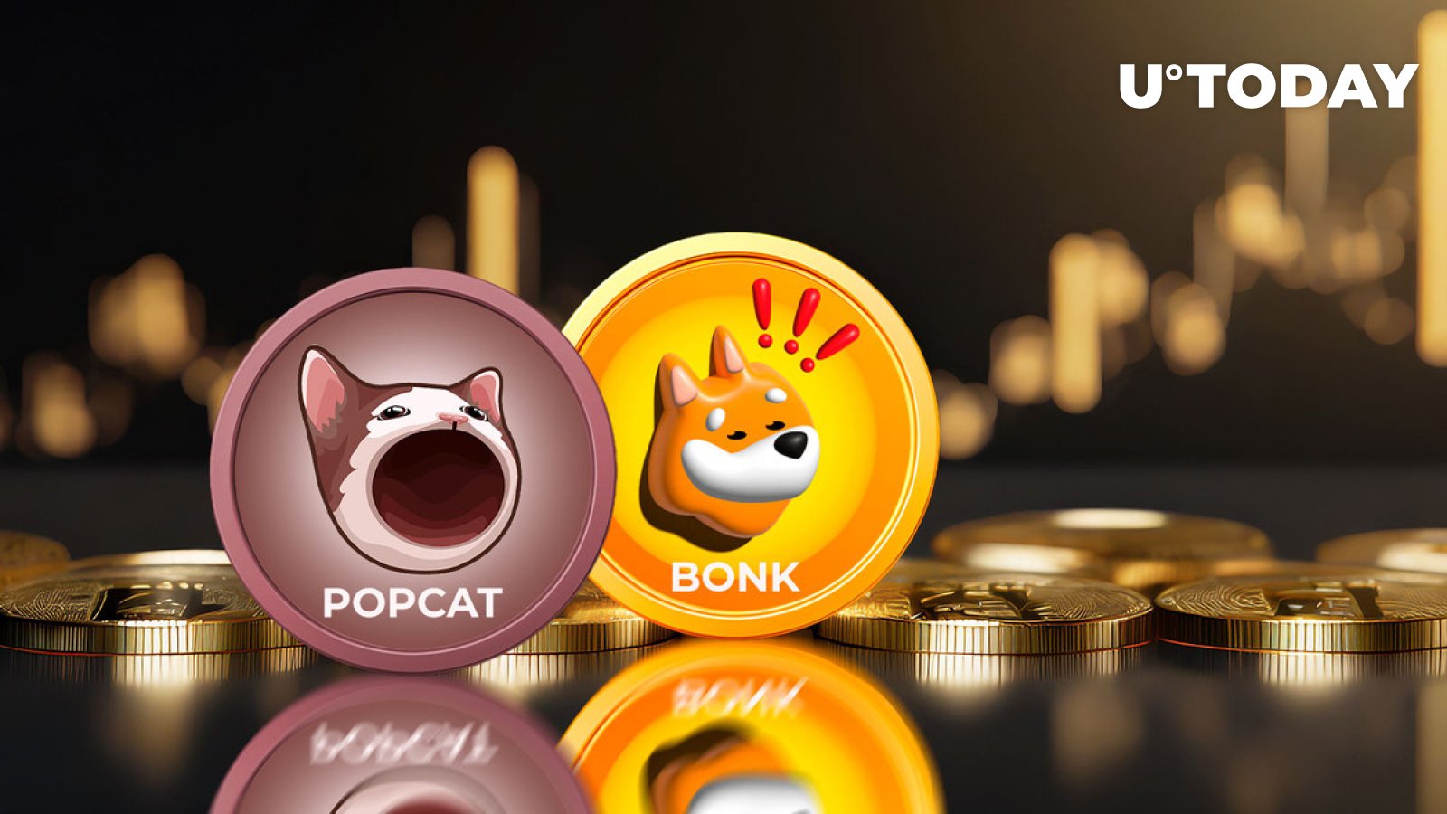 Meme coins POPCAT and BONK on fire with double-digit gains overnight