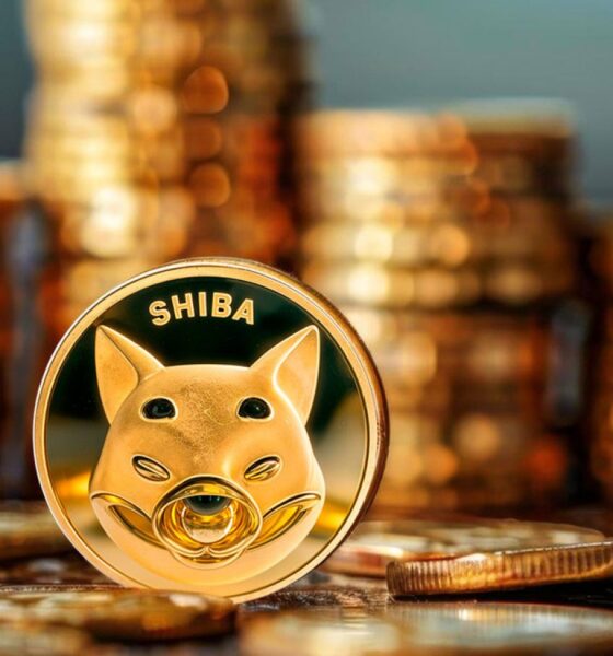 SHIB Drops Its Meme Coin Status, Here's Proof From Shiba Inu Team It's Not Just A Meme