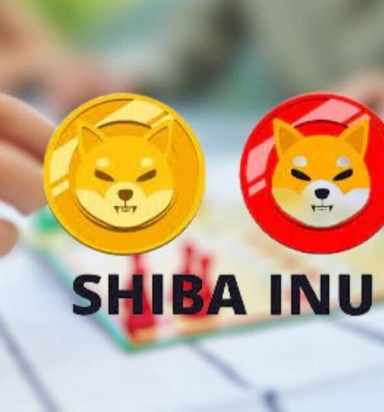 Shiba Inu Loses Ground to Three Rival Meme Coins in Trading Volume