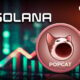 Solana Cat Meme Coin Surges 117%, But There's Something You Need To Know