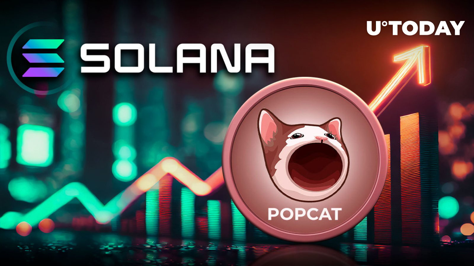 Solana Cat Meme Coin Surges 117%, But There's Something You Need To Know