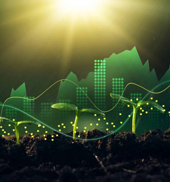 Growing money,finance and investment.Concept of business growth,profit, development and success. Young plants increase on sunny background.