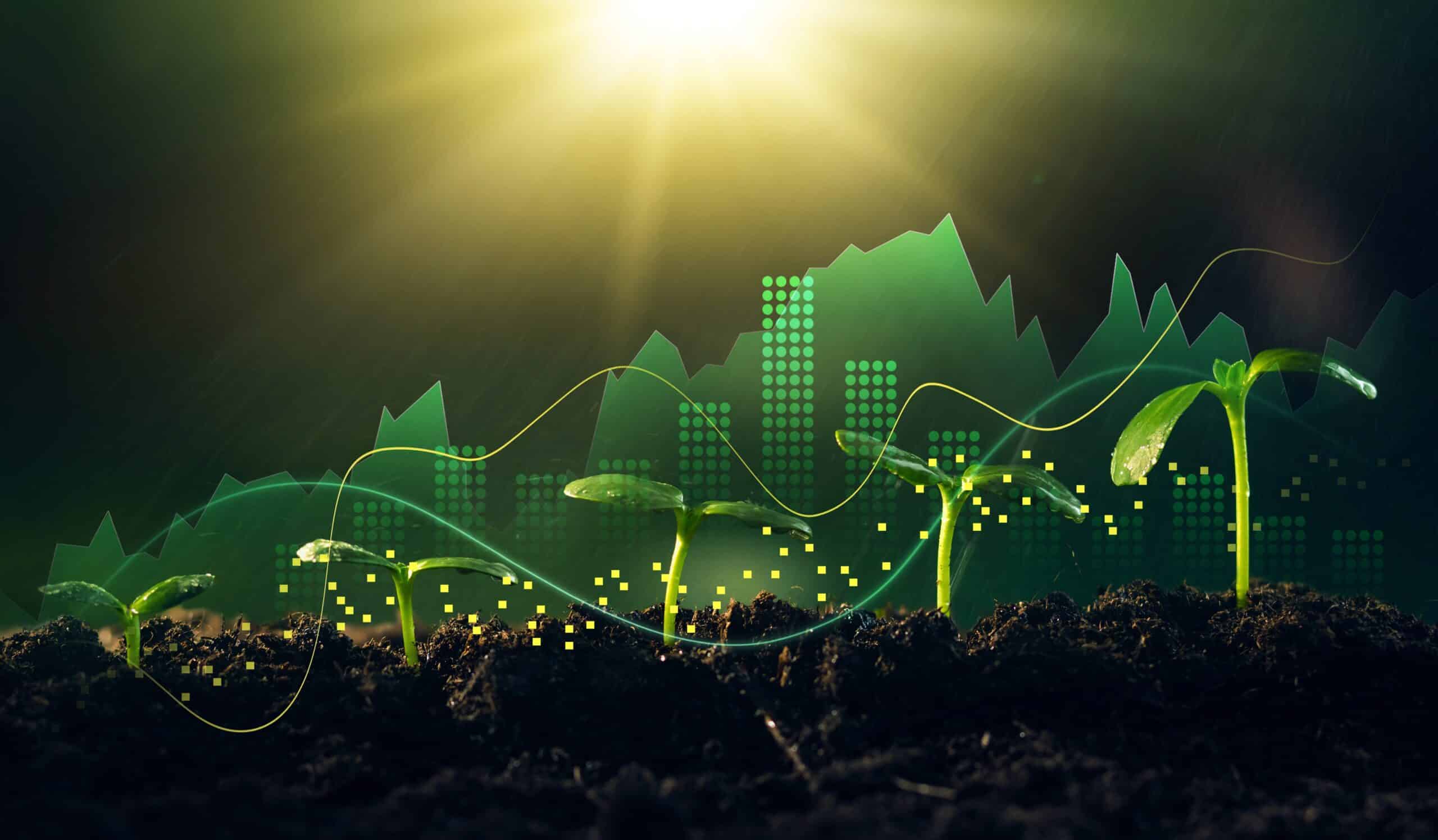 Growing money,finance and investment.Concept of business growth,profit, development and success. Young plants increase on sunny background.